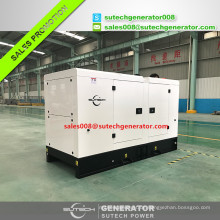 Super leise Typ 50kva 40kw Diesel Generator Preis mit Perkin Motor 1104A-44TG1